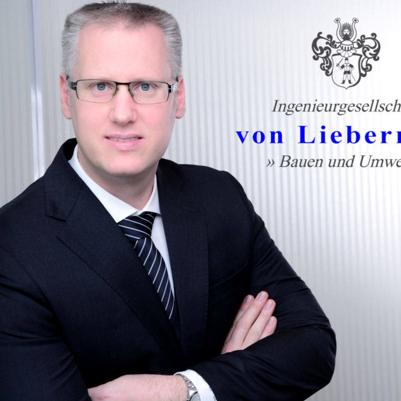 Portrait von Dr.-Ing. Thorsten  Albers