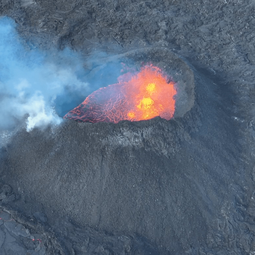 Portrait von  Alea   Joachim