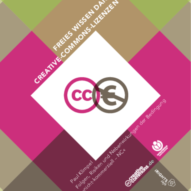 Portrait von Prof. Dr. Iris  Kirchner-Freis