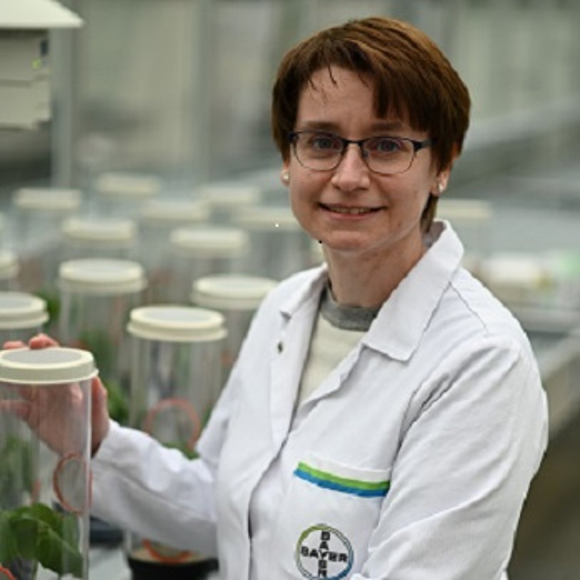 Portrait von Dr. Silvia  Cerezo Galvez