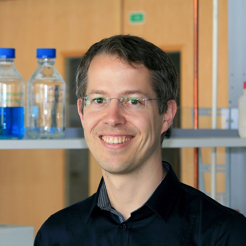 Portrait von Prof. Dr. Rainer Ostermann