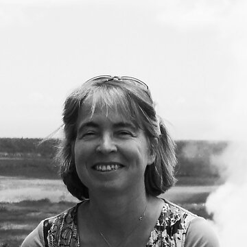 Portrait von Prof. Dr. Heidi Elisabeth  Megerle