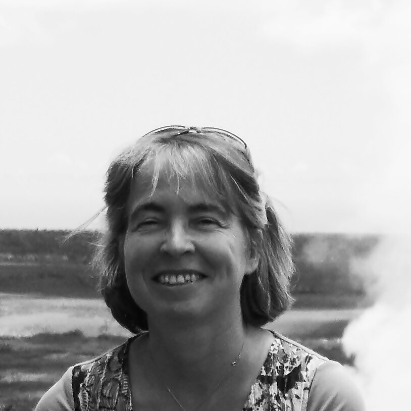 Portrait von Prof. Dr. Heidi Elisabeth  Megerle